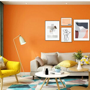 HomyanǎV[hCNV[g60cmS10m̂tDIYǎJbeBOV[gIW