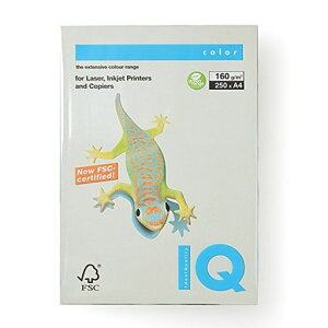 oCIgbvJ[O[A4/160O250P