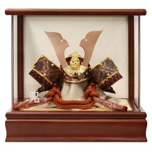 ܌l`P[XP[XANP[XX炢uY28xs22x26cmpm}P[XSP24509C