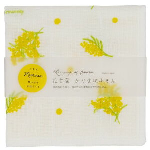 R[WJpj[␶n7dӂ񃌃fB[X30x30cm{Ԍt~UA501691