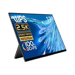 EHOMEWEI ���o�C�����j�^�[ 17�C���` 144HZ 2.5K �Q�[�~���O���j�^�[ QLED �|�[�^�u�����j�^�[100% DCI-P3�L�F�� IPHONE/PS4/PS5/XBOX/SWITCH/PC/MAC�Ή� �X�s�[�J�[���� �u���[���C�g�J�b�g