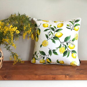 X^CfR[(STYLEDecor)NbVJo[45x45cmkꂩ킢2Zbg100%CG[t[cW3501800