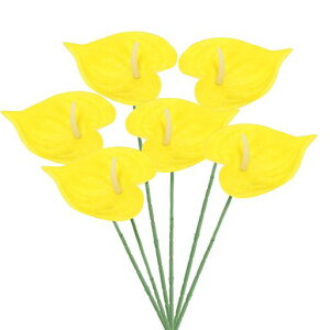 PATIKIL13hlHAXE[̉6Zbgivԃt[AWgu[Pz[fR[VEFfBOՂp[eB[pCG[