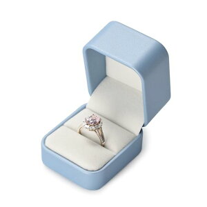 PaptenwփP[Xv|[YOP[X^у~jPUU[1pLOwփv[gȂǂɓKH15901(u[)