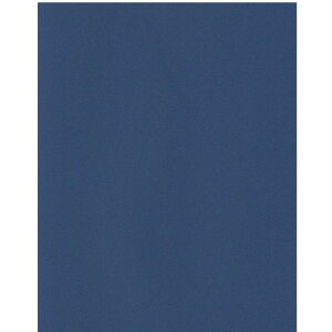 GXPgPgX^[J[A4lCr[u[1005761007