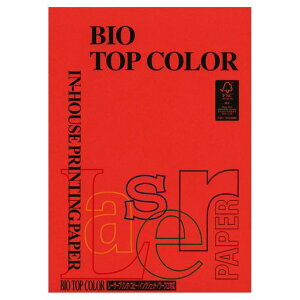 oCIgbvJ[ubNbhA4/80O100P