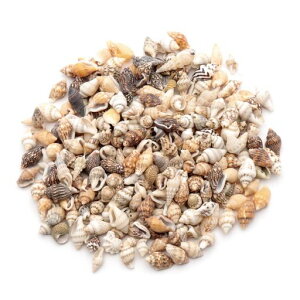 [GOLDSTONE]Lkp[cWtgRKC10gVFޗԐnhChHVRLfފL50O