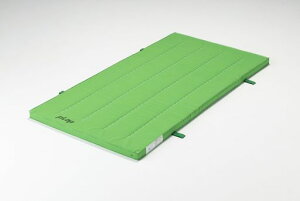 FLAP(tbv)̑}bgGRJ[RۍX|W}bgO[ׂ~ߖ90x180x5(cm)qX|[c̈}bg^ƒpF1581G