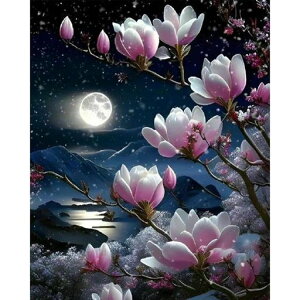 viervido_ChA[gyCeBOLbg_Chhr[YA[g5DUCNA[ghJLbgnhChSʓ\t^Cvr[YA[gGLbgDIY