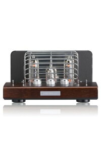 SOUNDWARRIOR���{���^��ǃA���v�w�b�h�z���A���v�A�i���O�I�[�f�B�I�v�����C��|SWL-T20-SD