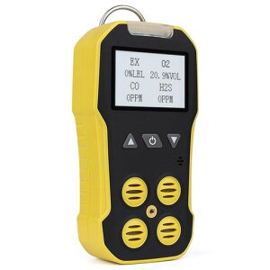 BOSEANKX|[^u4|in|1KXo팟mKXRꌟmRKXCH4fH2S_fO2_YfCOKX/^CH4/G^C2H6/vpȂǂmLCDfBXvCO̃A[c