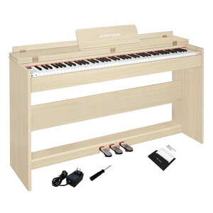KIMFBAYdqsAm88Ճn}[ANVՖؐsAmAbvCgsAmDigitalPianolC88y_tdqsAmqSMIDIΉ