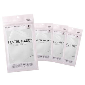 [PASTELMASK]12pXe}XNz}XN3DOw\2023(x[WӂTCY(12))