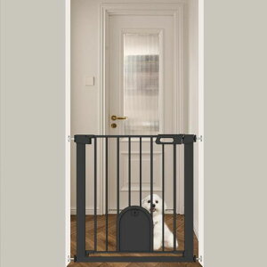 FairyBabyxr[Q[gybghAtt75-82CMLQ[g76cmxr[tFX˂莮_ubNJԂQ[gxr[K[h֊Kigt[tzCg