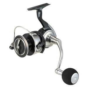 �_�C��(DAIWA)��^�X�s�j���O���[��24�Z���e�[�gSW5000-H