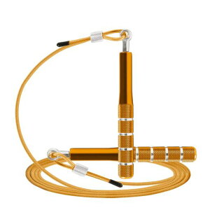 Wastou꒵уXs[h꒵уg[jOtBbglXGNTTCYp߉\l[NAEg꒵ђjpq̎q(S[h)