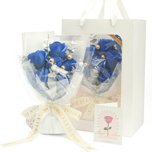 LOZIZI\[vt[ԑoԌ͂ȂԐlCNA{bNXAbZ[WJ[htA񂰕t