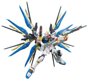 RG �@����m�K���_��SEED DESTINY ZGMF-X20A �X�g���C�N�t���[�_���K���_�� 1/144�X�P�[�� �F�����ς݃v�����f��