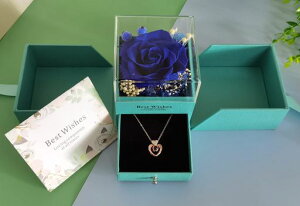 WOMLEXvU[uht[lbNXv[g͂ȂԒav[glCޏȕꑡ蕨Ƃăo^CLOjzj̓hV̓v[gNX}Xc