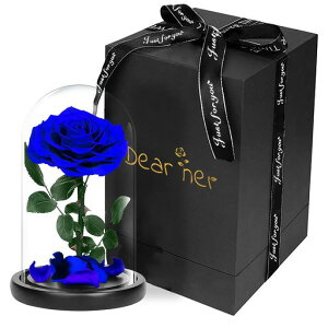 LuckystarBeautyandTheBeastRose{̃oŎۑԁA͂ȂԁAỉԁA1ցAKXMtg{bNXvU[uht[A̓ALOv[gAAo^CAc