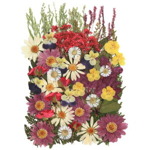 MiDoRiY70傫Ɣ̃}[KbgrIp[vneʉԃhCt[Zbgm[X|[KNubT[ttςe召~bNXTCY14