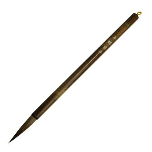 n^Mkp22875