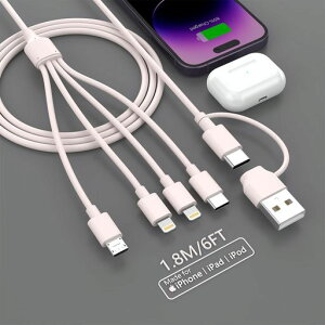 y2025V݌vz4in2[dP[u4C`2[dR[h3A}[dUSBTypeCMicroUSBiPhone4䓯[d4C2R[hgя[dP[uiPhone14ProMax13Pro12mini