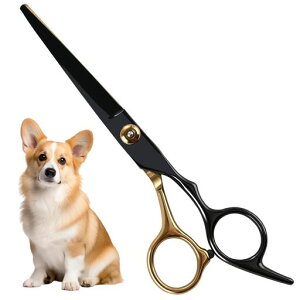 PURAIMAg~OnT~Xg[gVU[g~O͂݃g~OVU[g~OXeXvtFbViȌpO[~O͂݃Zbg