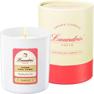 Laundrinf(h)A}Lh_[WeB[̍180gMtgv[g36ԐA100%EptBt[