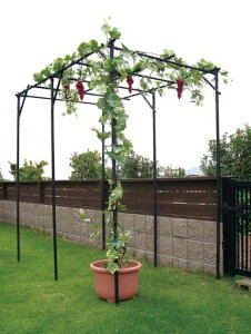 DAIMp[SʕIZbg120cms180cm180cmIIK[fK[fjOIA[`|LECI|IԂǂ˂ԂǂI