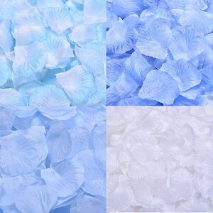 YesallwasԂт瑢2000KNԕِlHt[V[oIEFfBO[Yv|[Yap[eB[ObY(u[n)