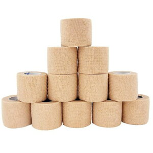 юȔSс[ÏWѐLkђeђʋCprуZbge[sOof[WLkʋCybgɂ(F12)