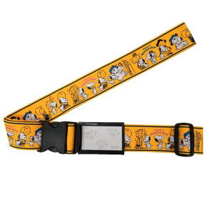 oK[hX[cP[XxgCG[5cmxőgp172cmX[cP[X̃TCYɍ킹Ē߂\ł