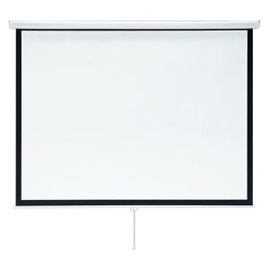 TTvCvWFN^[XN[(݂艺)85^PRS-TS85