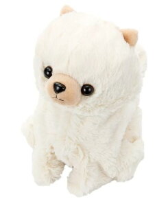 ZKgCY(SEGATOYS)RRPremium|jA