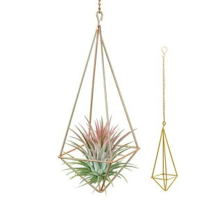 NOELAMOURvgnK[ACAGAvcz_[݂艺t[X^h|bNOS48.5x8cm(S[h)