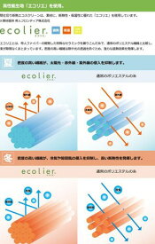 SIN. 間仕切り断熱エコスクリーン 帝人のエコリエ使用 100×250CM リビング階段の断熱に 日本製 ポリエステル (ストライプ アイボリー)