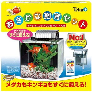 eg(Tetra)~jANAEȎZbgPL]17OS