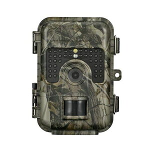 drgCJBCM-HH66208-0494OHMI[d@