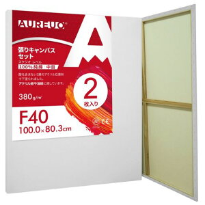 AUREUOLoXZbgF40(100cmX80.3cm)100%Rbg2SҊGp|pGn쌻GpʉEGEANp