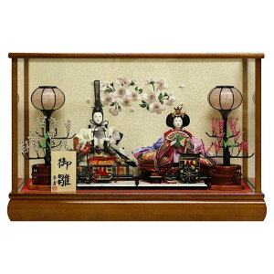 �ЂȐl�`���l�`�e���P�[�X����P���L�h�K���X�P�[�X�����o�b�N�Ԍ�56.2x���s28.8x����38cm04-3-20B