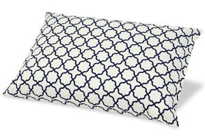 SEIDO΂疍{Ίk܂獂߉\km(u[)