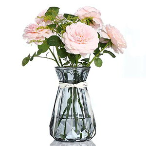 SwPotato ԕr ֑}KXt[x[X KX Ԋ  ~jԊ 18CMA g