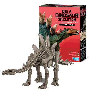 \マラソン中半額クーポン/気分は考古学者 発掘&組立 ステゴサウルス /キッズラボ 4M 恐竜 模型 骨格 組立て 工作キット 知育教材 子供 小学生 中学生 自由研究 自由研究キット 科学 プレ