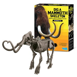 \マラソン中半額クーポン/気分は考古学者 発掘&組立 マンモス /キッズラボ 4M 恐竜 模型 骨格 組立て 工作キット 知育教材 子供 小学生 中学生 自由研究 自由研究キット 科学 プレゼント