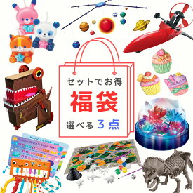 選んでお得 [フォーエム知育教材] 実験キット 工作キット 選べる3点 福袋 手芸キット セット買い まとめ買い 子供 小学生 中学生 夏休み 自由研究 自由研究キットキット プレゼント 福袋2025