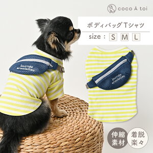 _BFGg[őSiP5{!^[RRAg] {fBobO TVc cocoAtoi {[_[   hbOEFA  ̎q j̎q IWi j[N 킢 ^ ₷ t t 