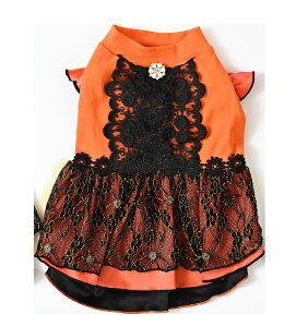 [RRAg] ubN[Xp[eBhX IW / p[v cocoAtoi nEB   hbOEFA  킢  hbOEFA ߑ  RX`[ ^ m H ~y 