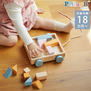 Polar B �|�[���[�r�[ �݂����S�� TYPR44096