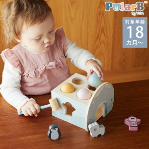 Polar B |[[r[ n}[Q[ TYPR44097